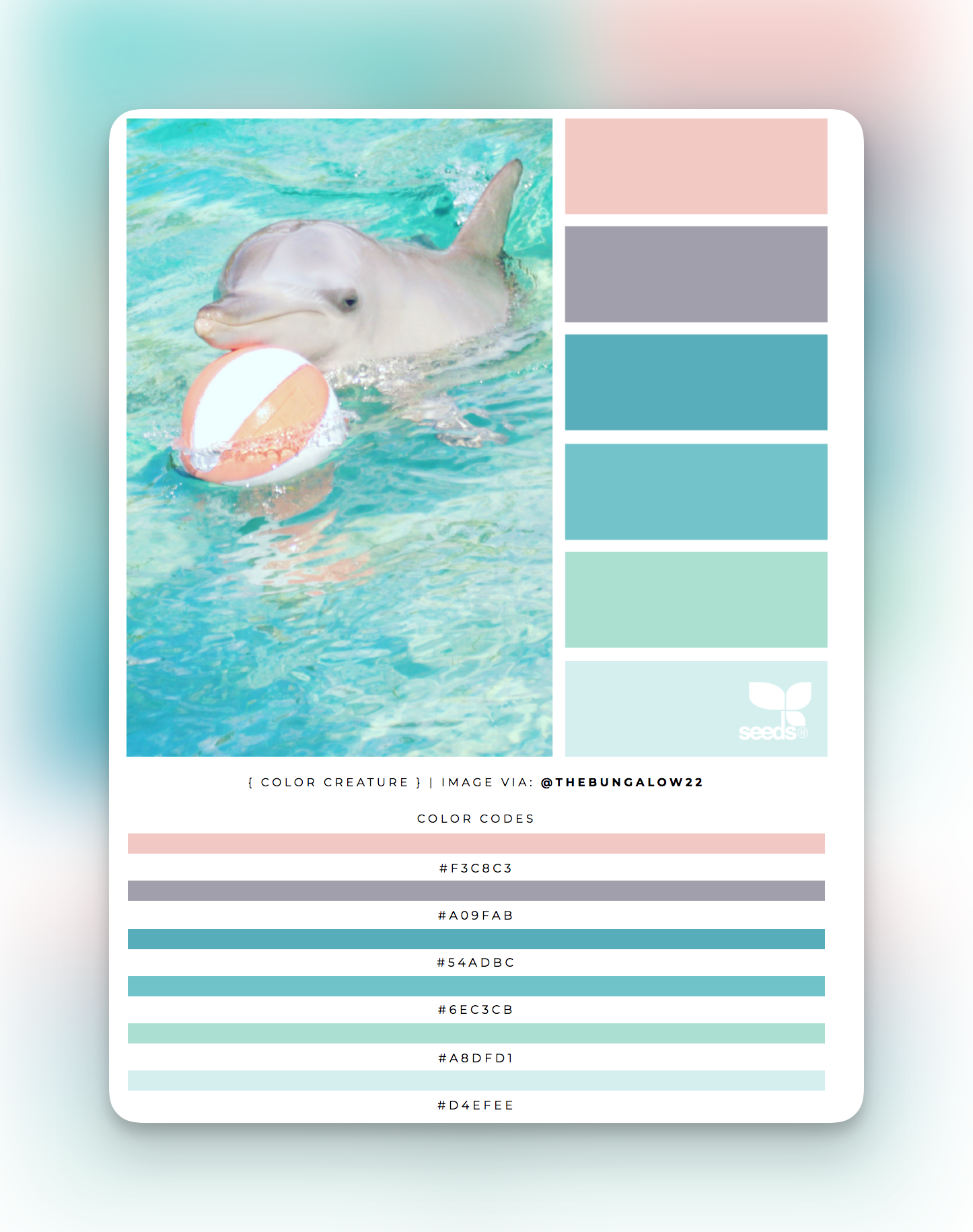 Photo of a dolphin in the water with a beach ball, in pastel tones of peach, purple and green, with a colour palette generated from it underneath