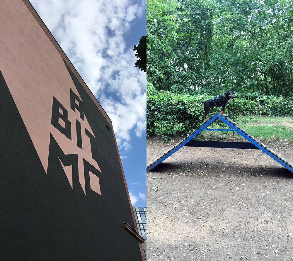 A building wall painted with futuristic type that reads “Moabit” — taken in Moabit; my dog at the top of an agility pyramid at the agility park.