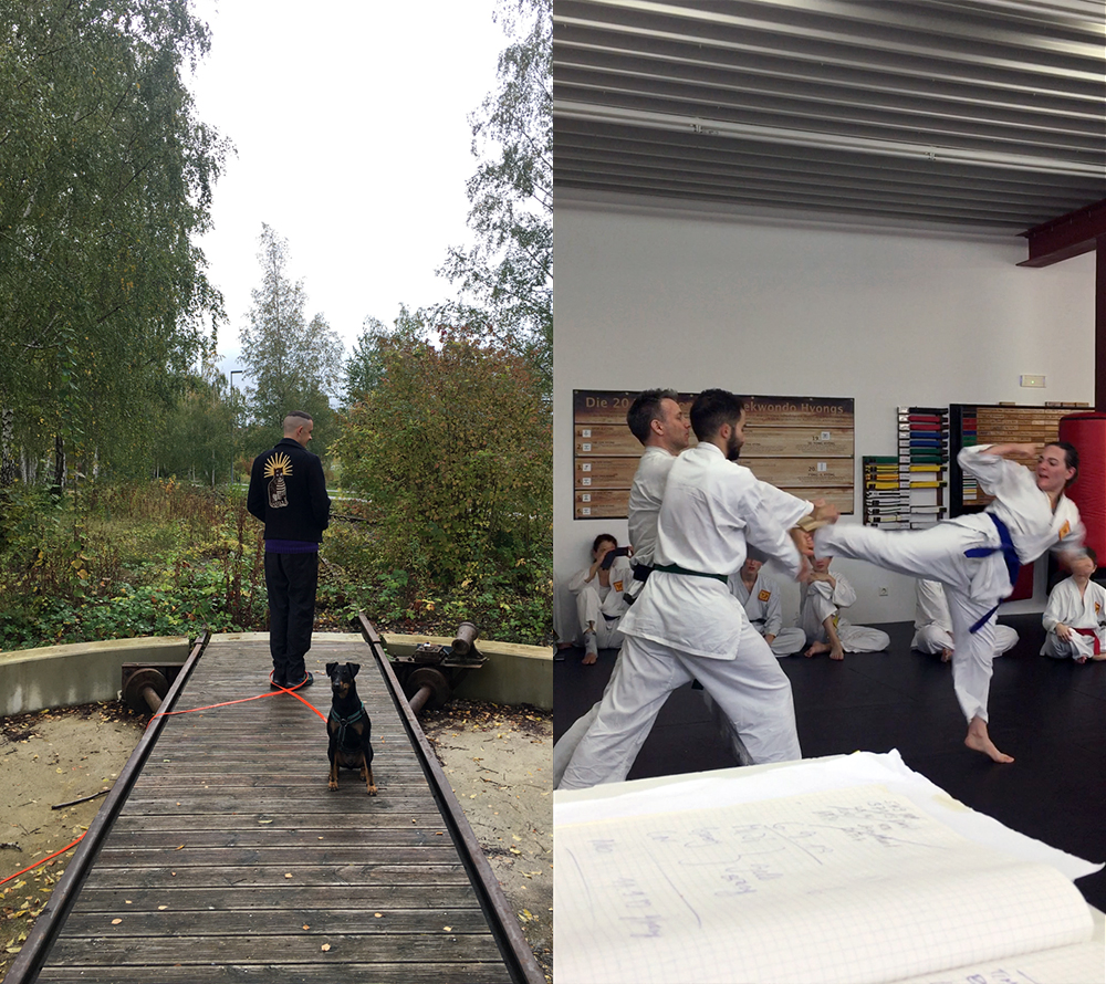 my friend P standing back to the camera next to my dog and modeling his fancy jacket with a cat embroidered on its back; me in my taekwondo uniform kicking through a board held by two fellow Taekwondo students during my red belt grading at the dojang.