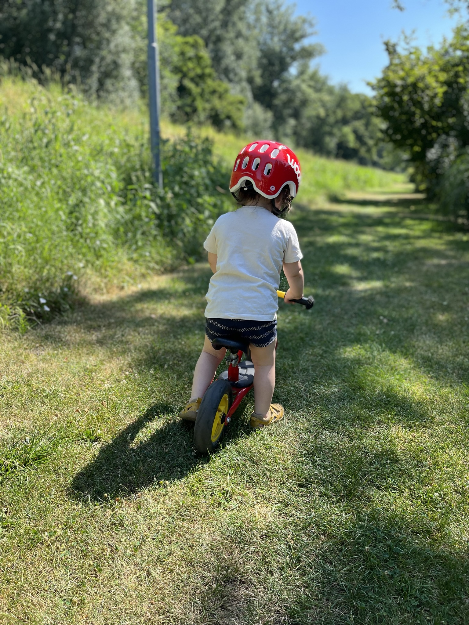 toddler in a biking helmet photographed from behind, standing on a grassy path and straddling a bike