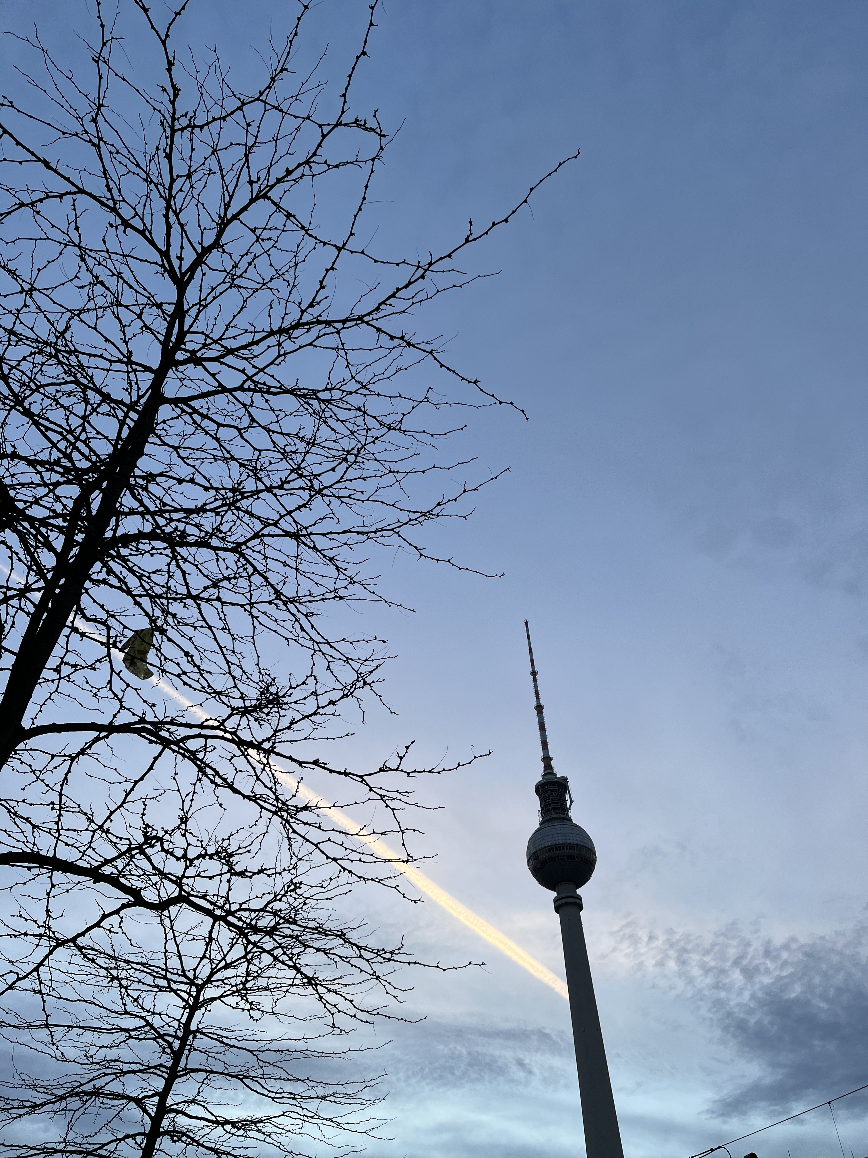 Large leafless tree and silhouette of the Berlin TV tower at dusk, with plane trails in the sky