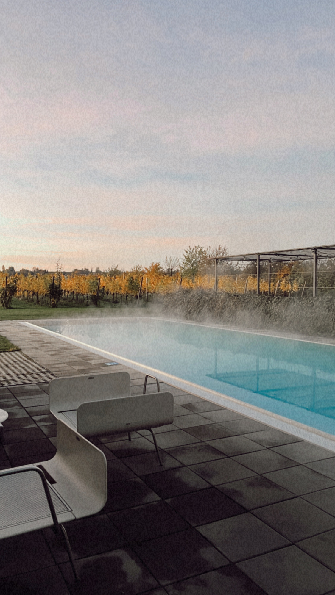 the outdoor of a spa at sunrise, with steam rising from a heated outdoor pool surrounded by vineyards