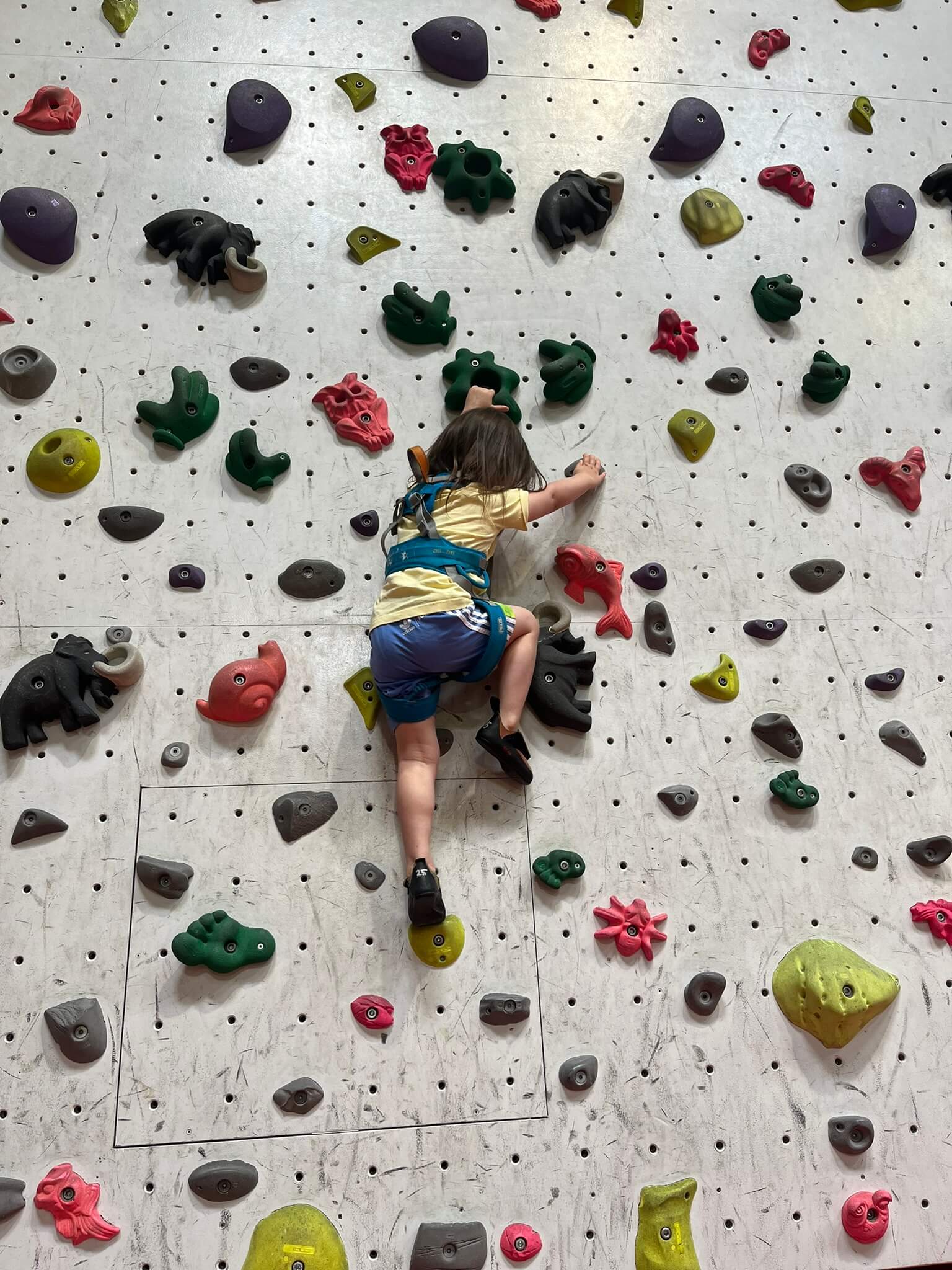 A child in climbing gear climbing a rock climbing wall