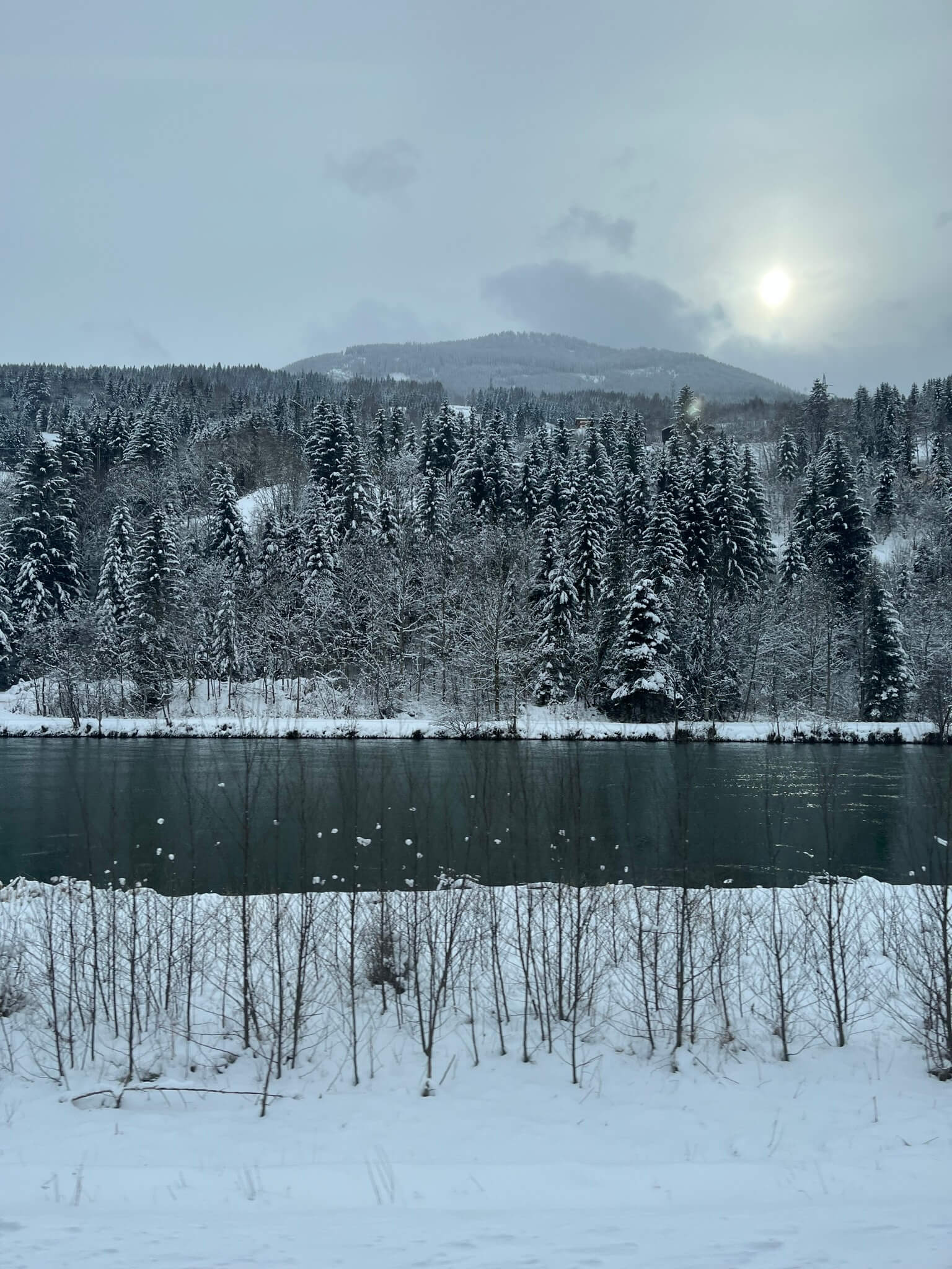 Snowy landscape with trees along a river and a grey sky