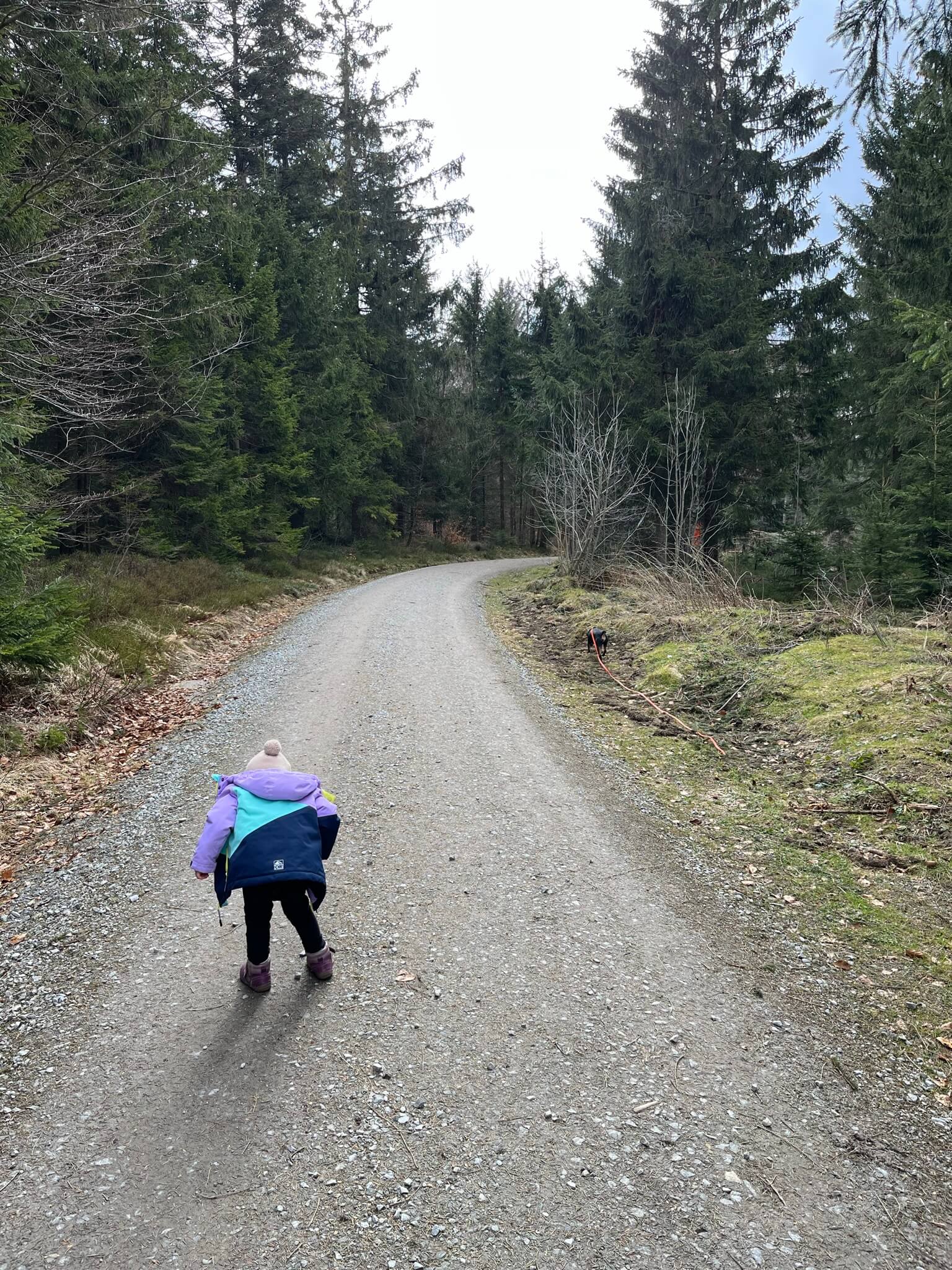 Child on a forest road bending over, looking at a small black terrier dog running ahead