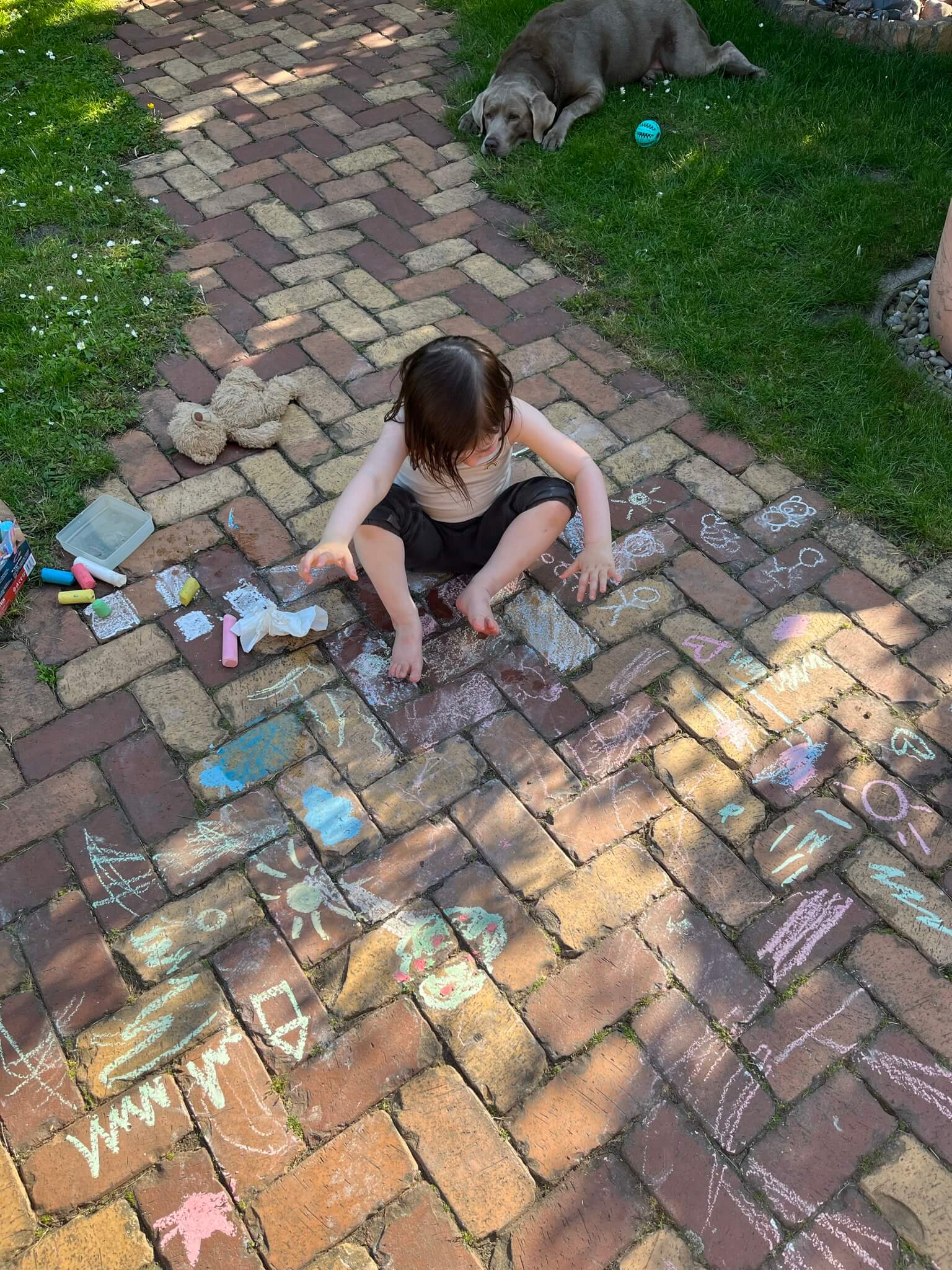 Child sitting on a path in a garden, surrounded by chalk drawings, chalk and a teddy bear, a brown dog sleeping in the background