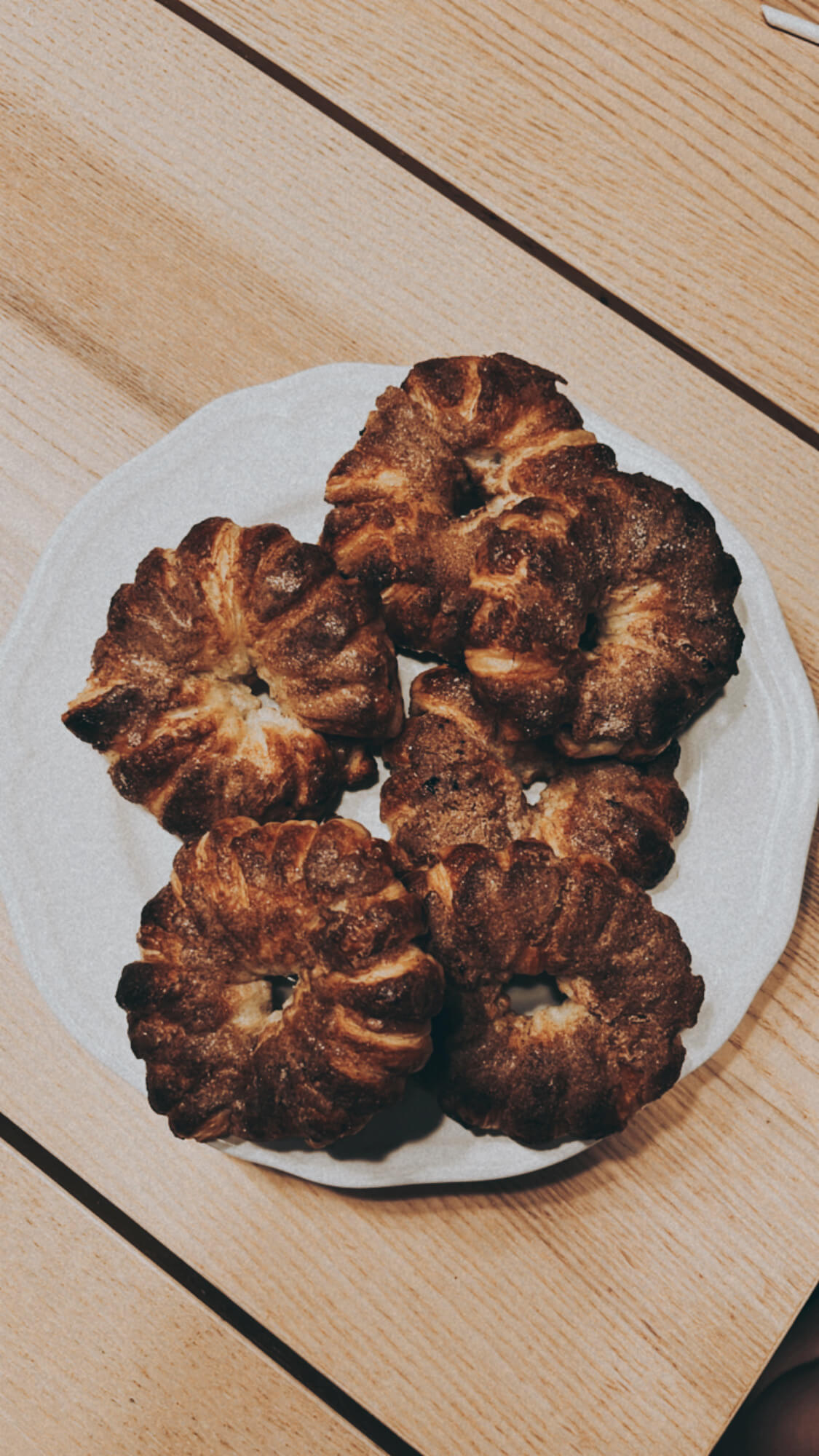 6 round pastries made of caramelised puff pastry arranged on a white dessert plate on a kitchen countertop