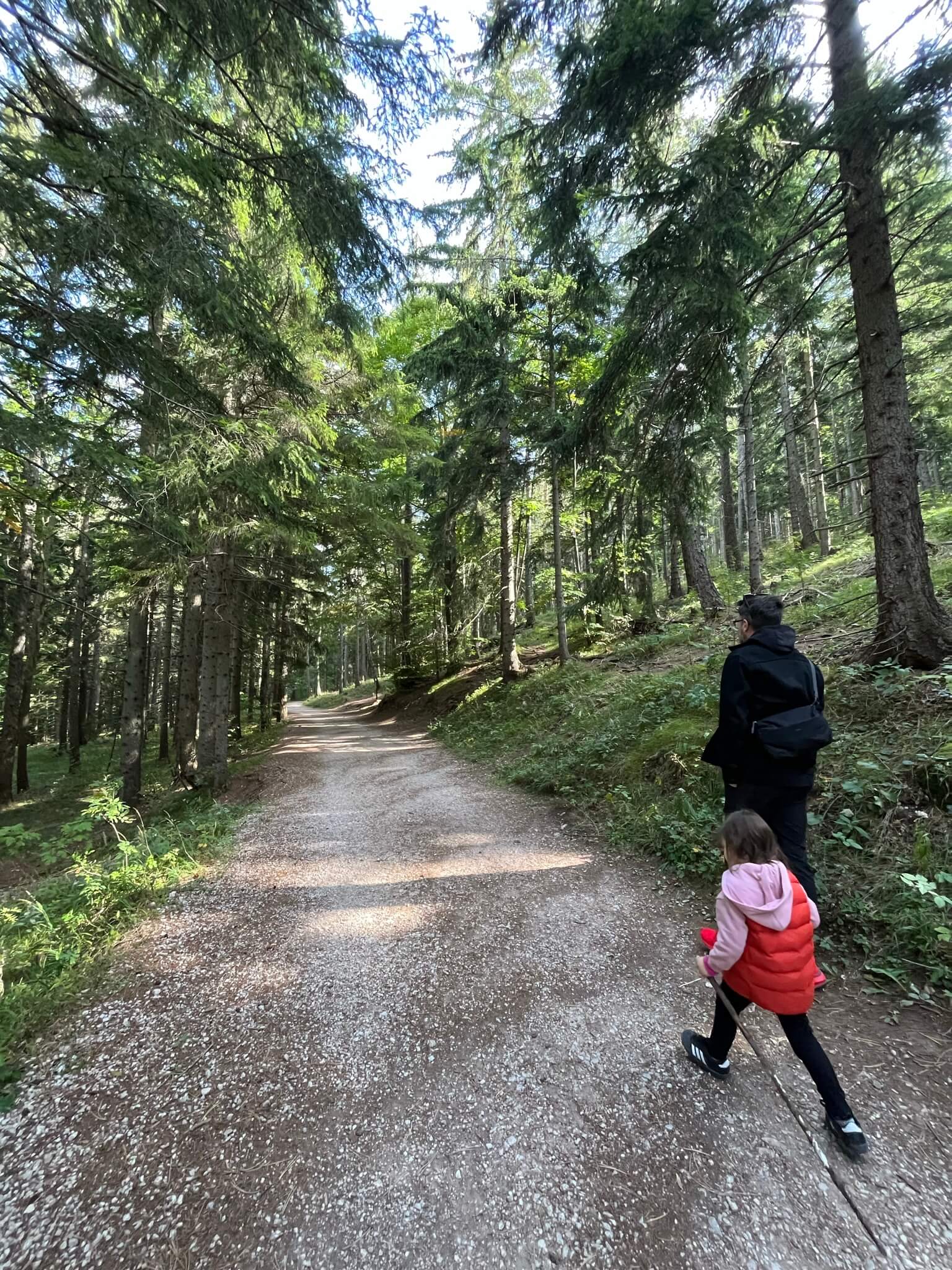 A man and his toddler daughter, seen from the back, walking down a forest path in athletic wear